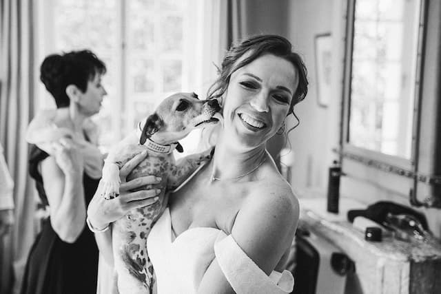 La mariée et son adorable chien, par Matthieu Wandolski,  Photographe et Vidéaste de mariage basé dans les Hauts-de-France. Réalise des reportages de mariage de Valenciennes à Arras, Lille et Douai.